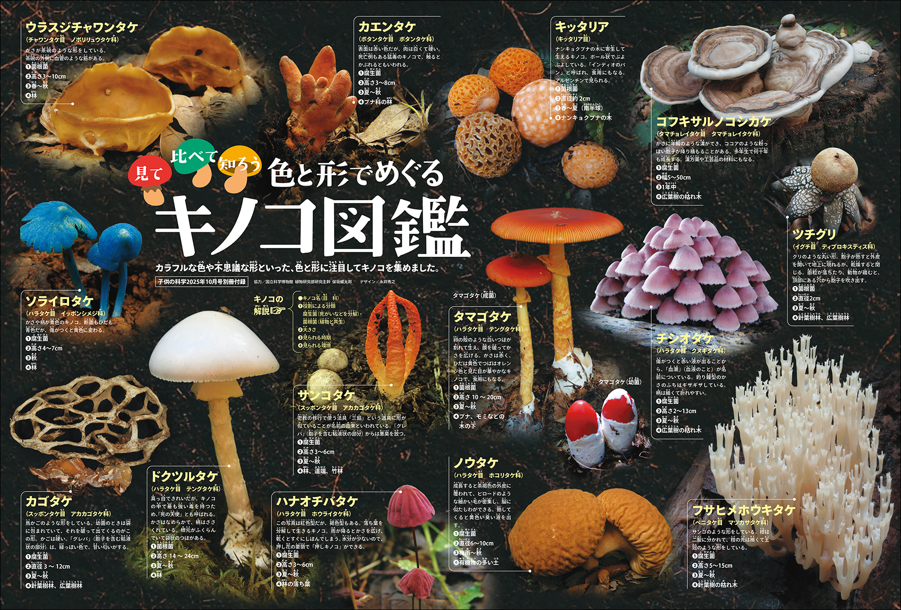 子供の科学2025年10月号はこんな内容だ！│コカネット