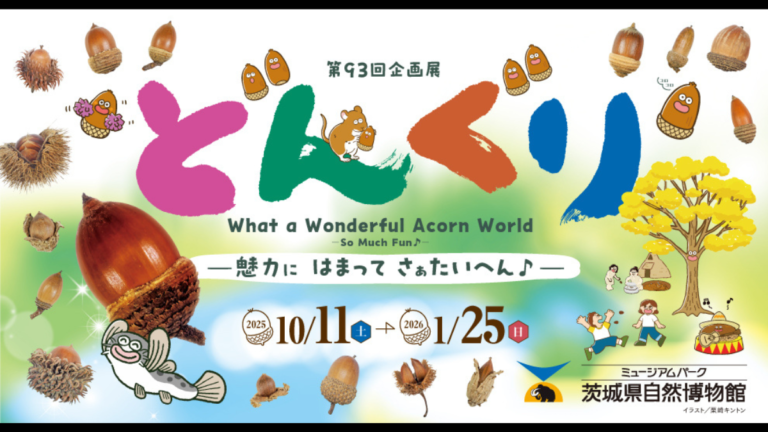 企画展「どんぐり‐魅力に はまって さぁたいへん♪‐」（茨城県