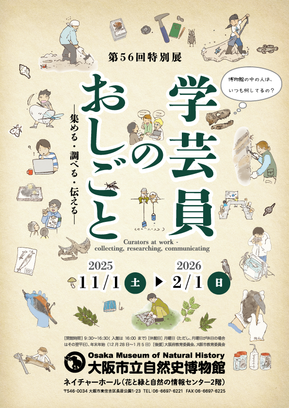 特別展「学芸員のおしごと−集める・調べる・伝える−」【2025年11月1
