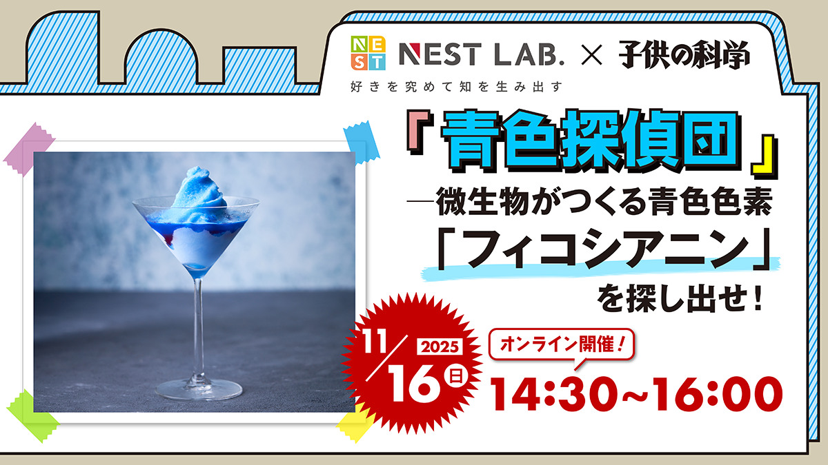 子供の科学のWEBサイト「コカネット」│コカネット