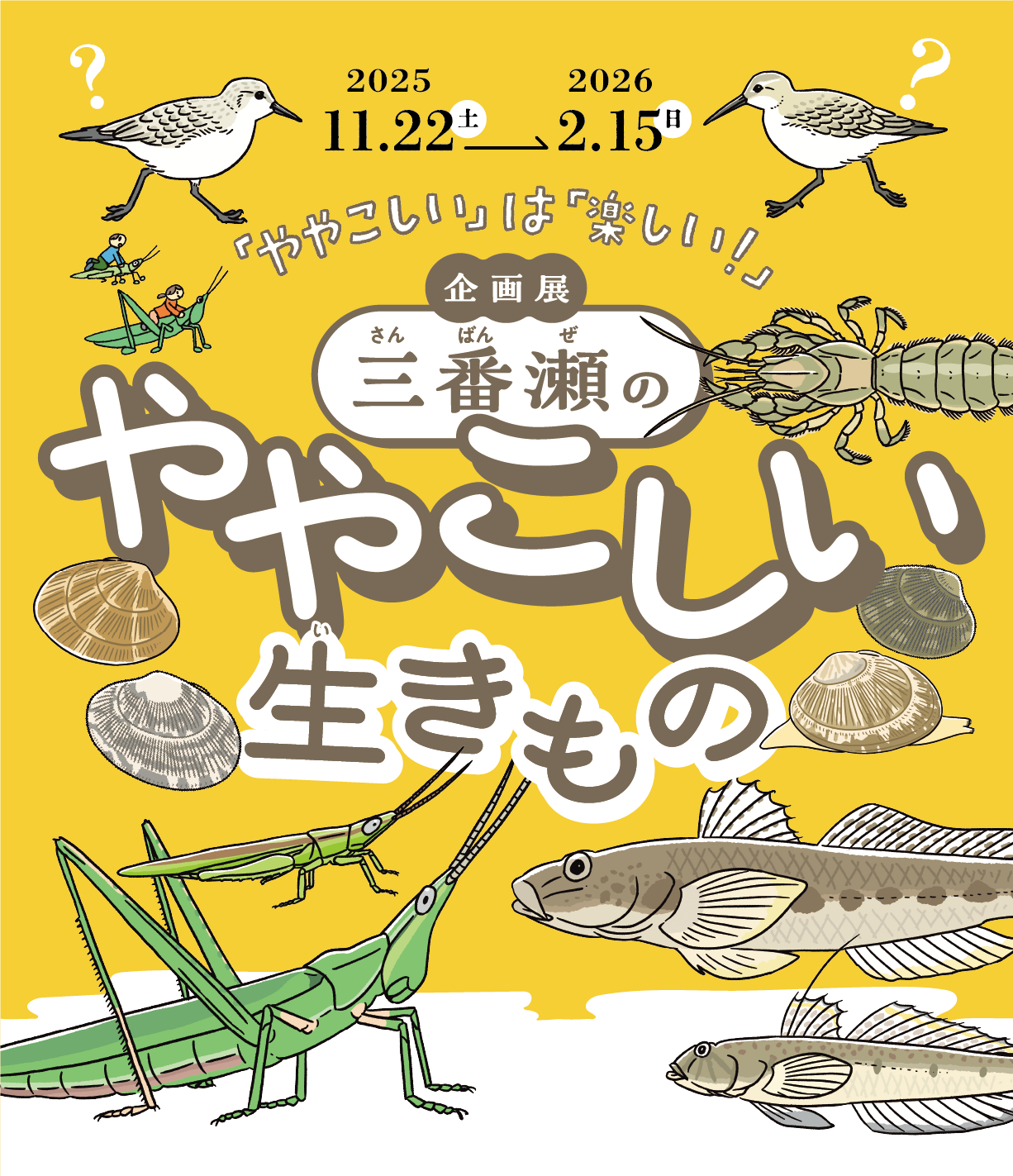 ややこしいって、楽しい！ 企画展「三番瀬のややこしい生きもの