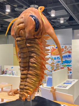 生きものの化石や模型がたくさん！企画展「古生代探検隊～三葉虫と