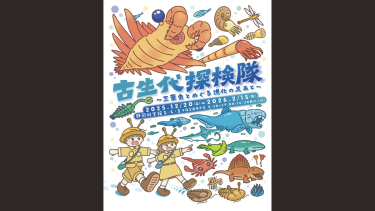 大阪市立自然史博物館で2月より開催！ 特別展「貝に沼る —日本の貝類学