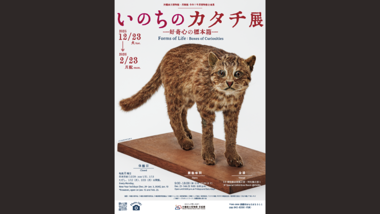 標本は大自然からの贈りもの「いのちのカタチ展―好奇心の標本箱