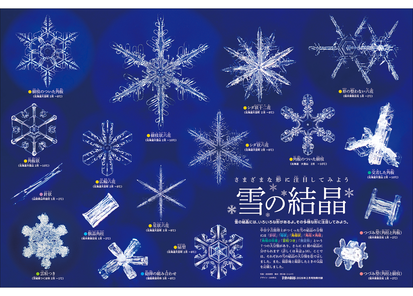 最新号 特集は「空からの手紙 雪のひみつ」【2026年1月9日発売】