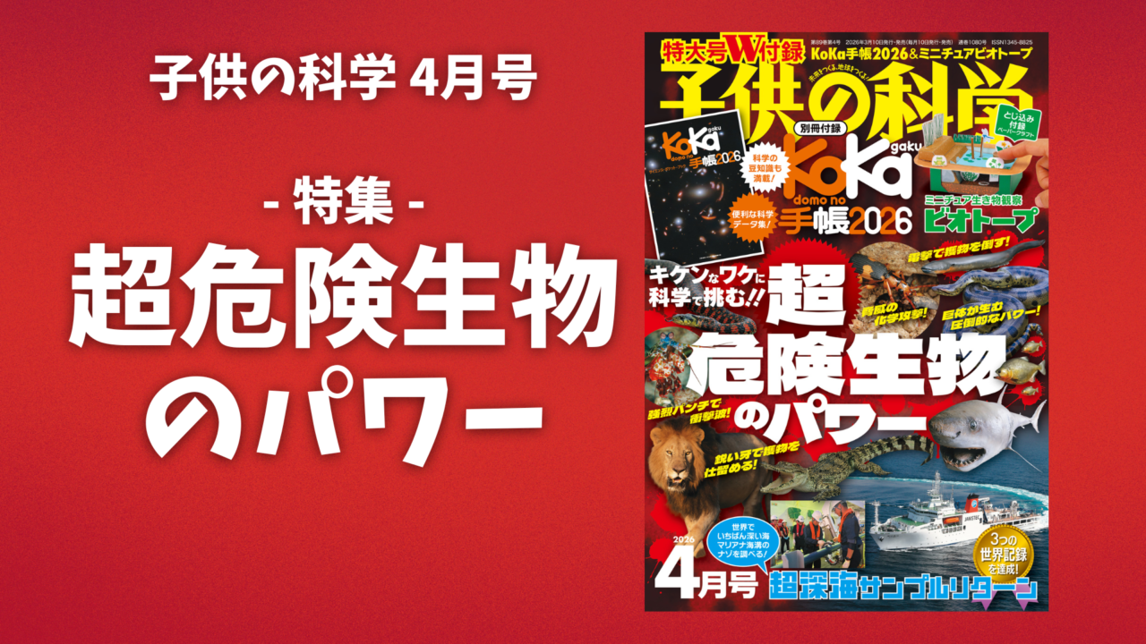 最新号 特集は「超危険生物のパワー」【2026年3月10日発売】