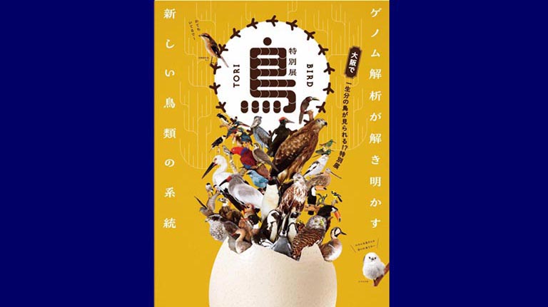 特別展「鳥～ゲノム解析が解き明かす新しい鳥類の系統～」チケット
