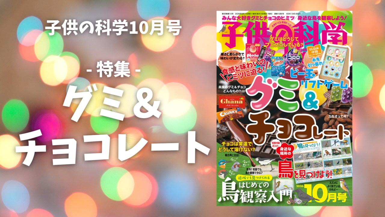 最新号 特集は「グミ＆チョコレート」【2026年9月10日発売】