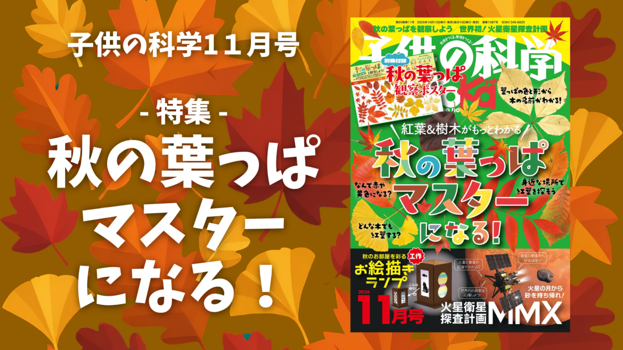 最新号 特集は「秋の葉っぱマスターになる！」【2026年10月9日発売】