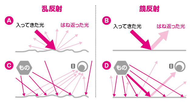 鏡はどうして物を映すの コカネット