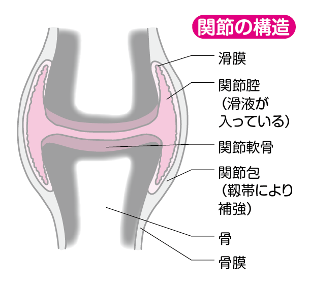 関節はどうしてポキポキなるの 体に悪いの コカネット